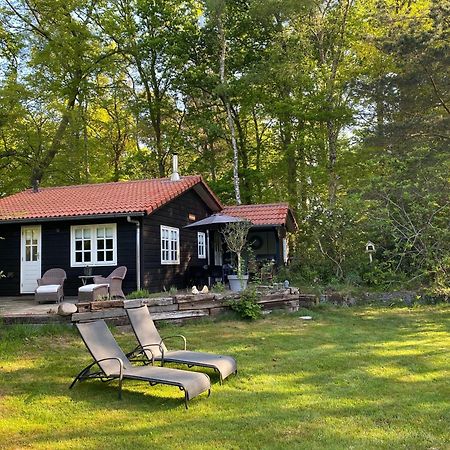 De Springop Villa Eefde Luaran gambar
