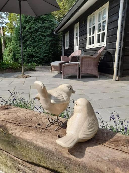 De Springop Villa Eefde Luaran gambar