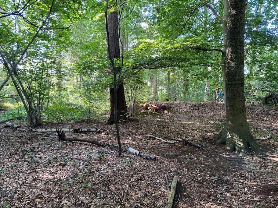 De Springop Villa Eefde Luaran gambar