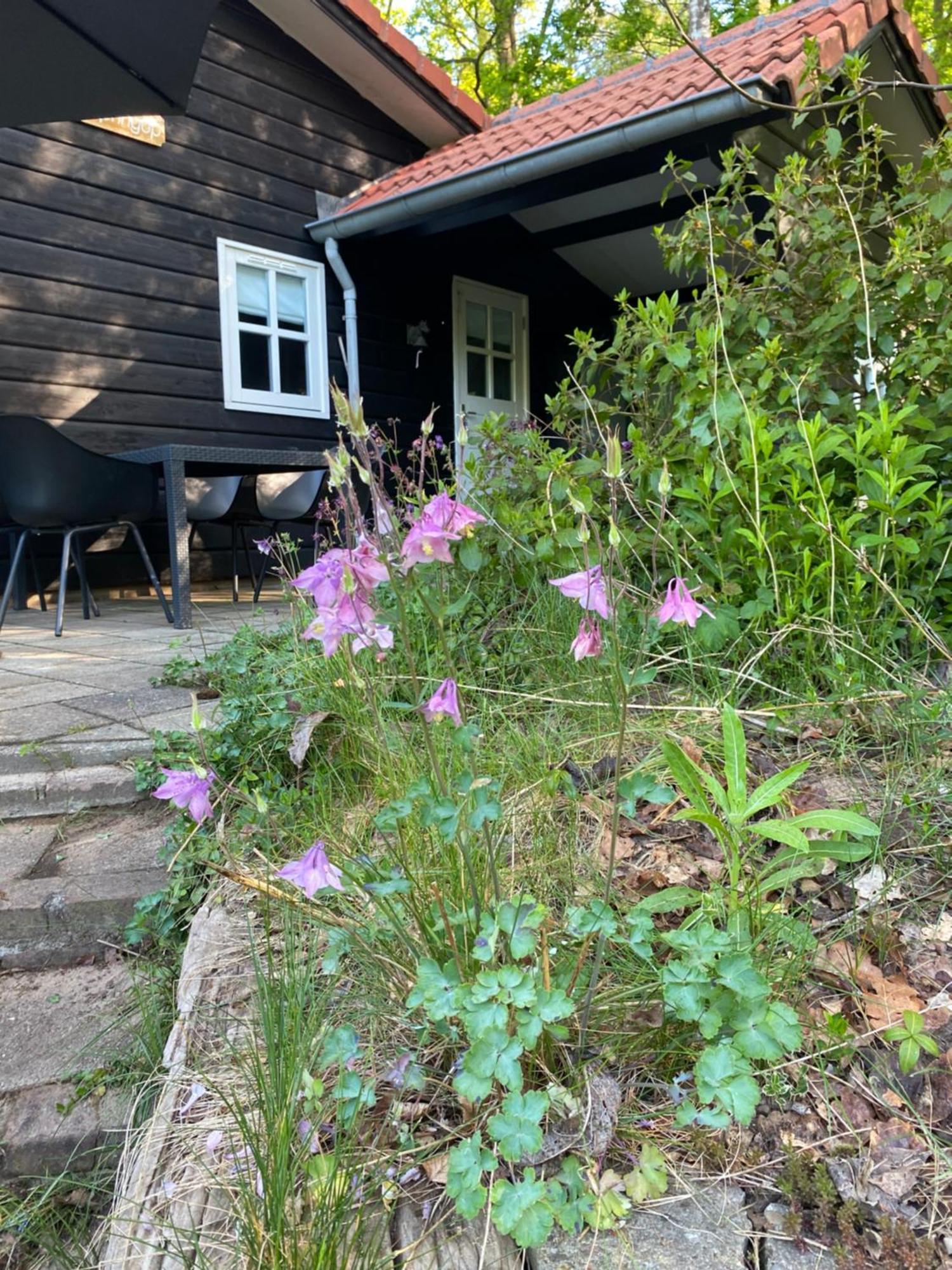De Springop Villa Eefde Luaran gambar